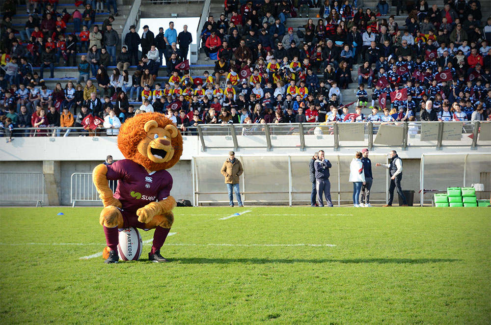 Léo, la mascotte de l'UBB